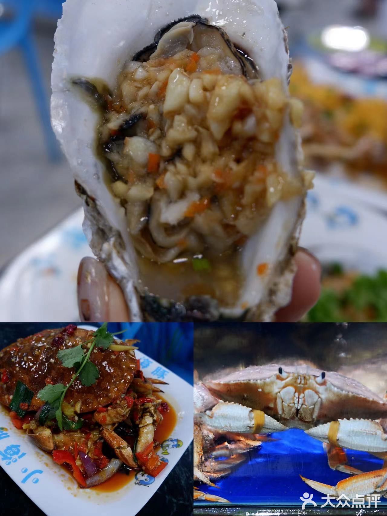 三亚探店‖吃了小海豚海鲜我跪了