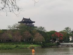 -海珠湖公园