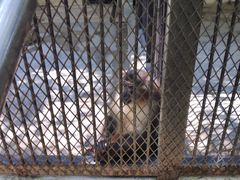 -广东茂名森林公园