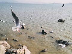 -深圳湾公园(南山区)