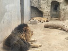 -银川动物园