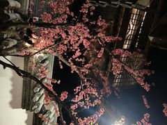 -淀里船宴(卓达店)