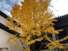 -惠山古镇·寄畅园