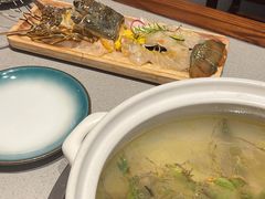 小青龙-四点金粥底火锅(沂州里店)