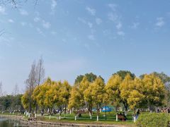 -河泥荡文化公园