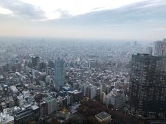 -东京都厅舍