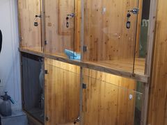 -有宠宠物(YOUCOIN·未来店)