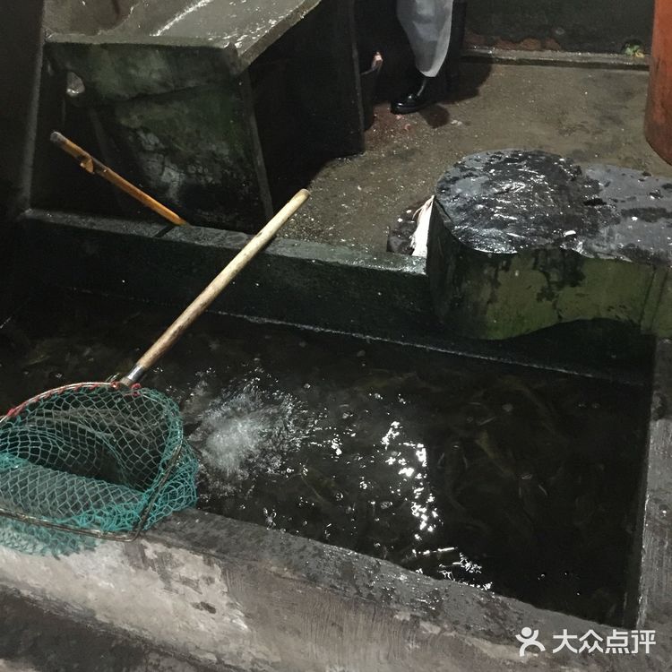 重庆涪陵永安，有一家不错的鱼店，疫情期间，还在为广大