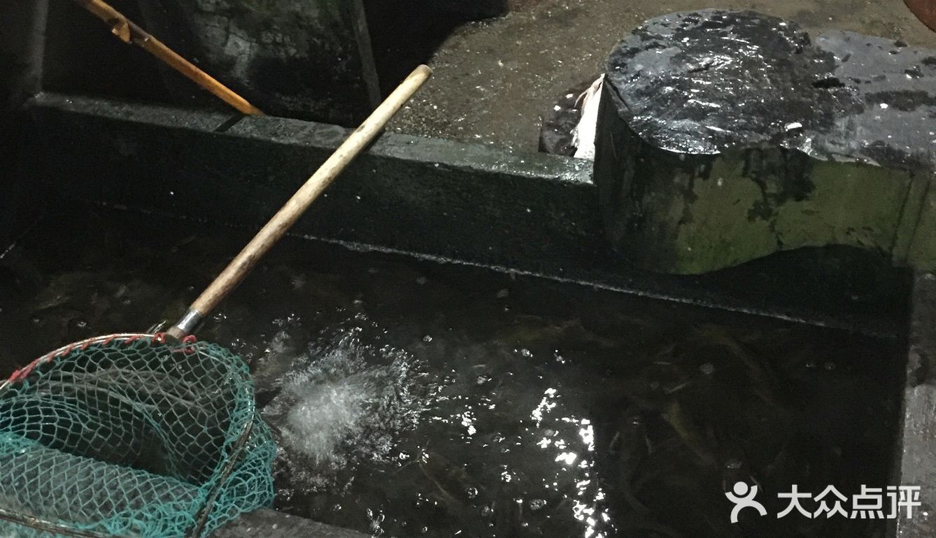 重庆涪陵永安，有一家不错的鱼店，疫情期间，还在为广大