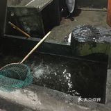 重庆涪陵永安，有一家不错的鱼店，疫情期间，还在为广大