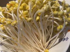 -小龙坎火锅(IFS HOT店)