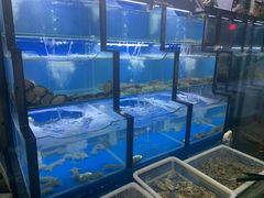 水产区-老东镇啤酒屋海鲜加工·蒸汽海鲜·海鲜烧烤(台东店)