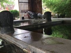 -中家鑫园温泉酒店鑫悦汤泉