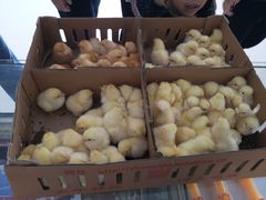 -兴芮温泉度假区