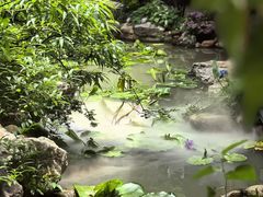 -绣园·茶食宴(湘绣博物馆店)