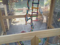 -蟠龙天地-P2停车场