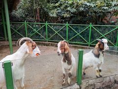 -杭州野生动物世界