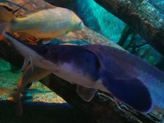 -沈阳海洋探索中心