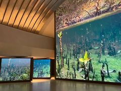 -扎耶德国家博物馆