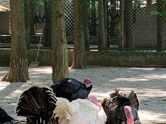 -南京金牛湖风景区