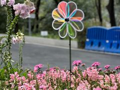 -广州市白云山风景名胜区