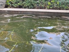 -郑州银基黄帝宫御温泉