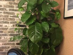 -洞庭土菜小炒馆(易发广场店)