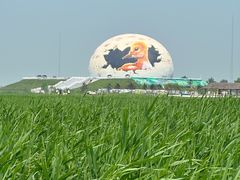 -黑龙江扎龙生态旅游区