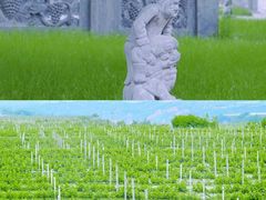 -戎子酒庄