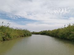 -泗洪洪泽湖湿地景区