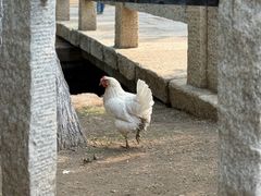 -春风习习