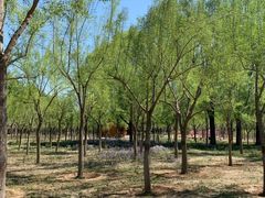 -东郊湿地公园