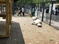 -长白岛森林公园