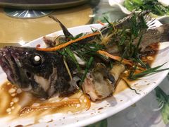 -四姑娘川味海鲜(八爪鱼店)