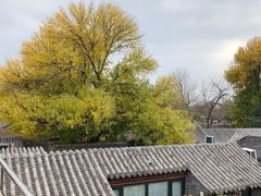 -糖房咖啡(南锣鼓巷店)