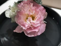-沁园·珍藏湘味(芙蓉广场店)