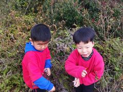 -大姆山草场