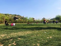 -渭南桃花源民俗文化园