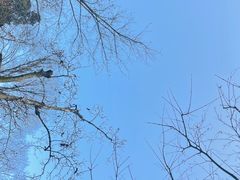 -凡老头米线砂锅(古荡新村西粮站)