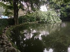 -成都市活水公园