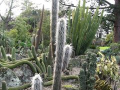 -墨尔本皇家植物园