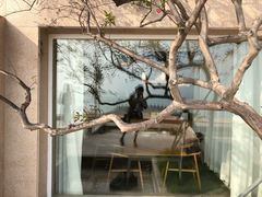 景观位-无味舒食(环岛路店)