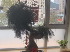 -八马茶业(胜利路旗舰店星海湾茶馆)