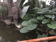 -汤山翠谷生态餐厅