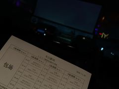 -枫花园汽车电影院(朝阳公园店)