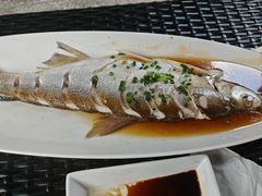 -樟树底(胜利河美食街店)