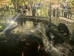 -河内西湖莲花自助餐厅
