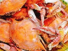 -四海蒸鲜蒸汽海鲜自助(北戴河店)