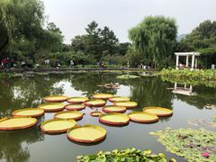 -国家植物园南园