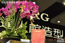 DSC_0404-DRG达人馆造型